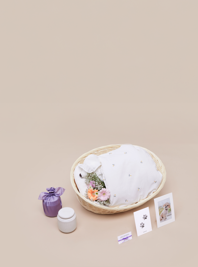 장례비용