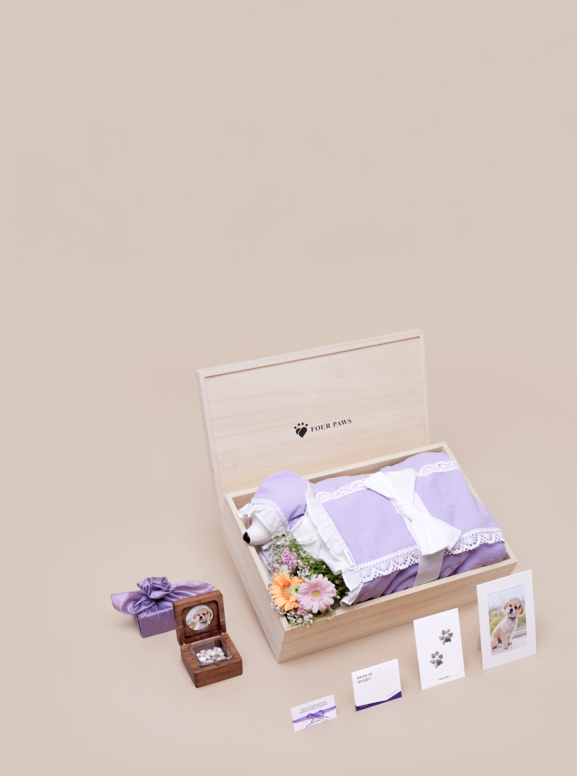 장례비용