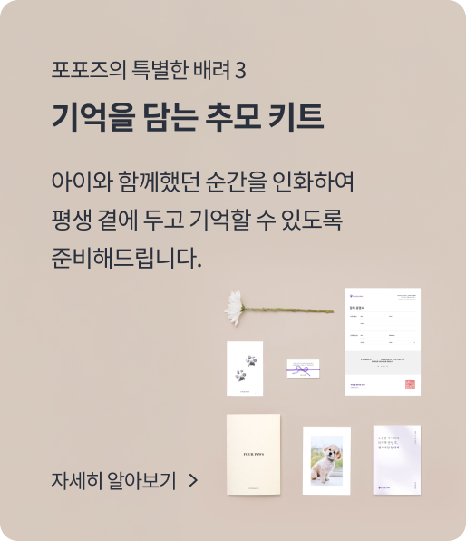슬라이드3