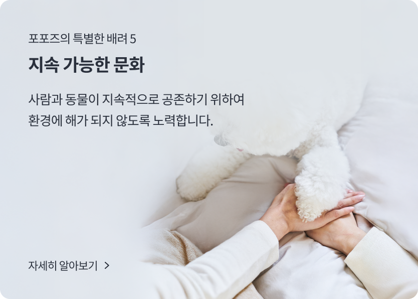 슬라이드5